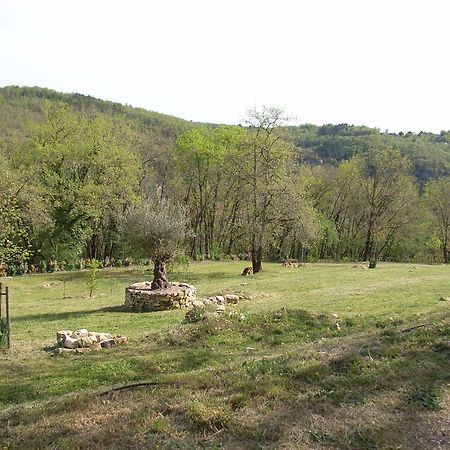 Studio Aux Eyzies Au Coeur De La Vallee De L'Homme Les Eyzies Dış mekan fotoğraf