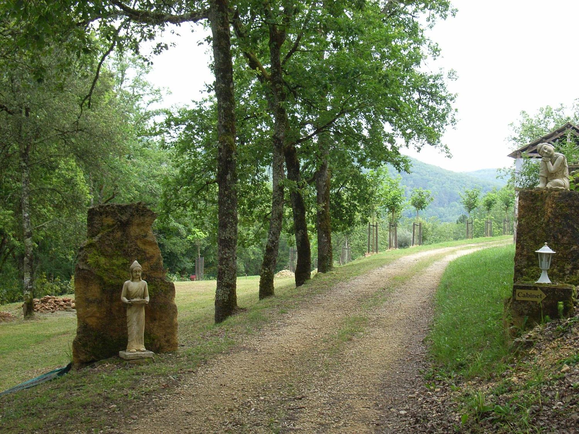 Studio Aux Eyzies Au Coeur De La Vallee De L'Homme Les Eyzies Dış mekan fotoğraf