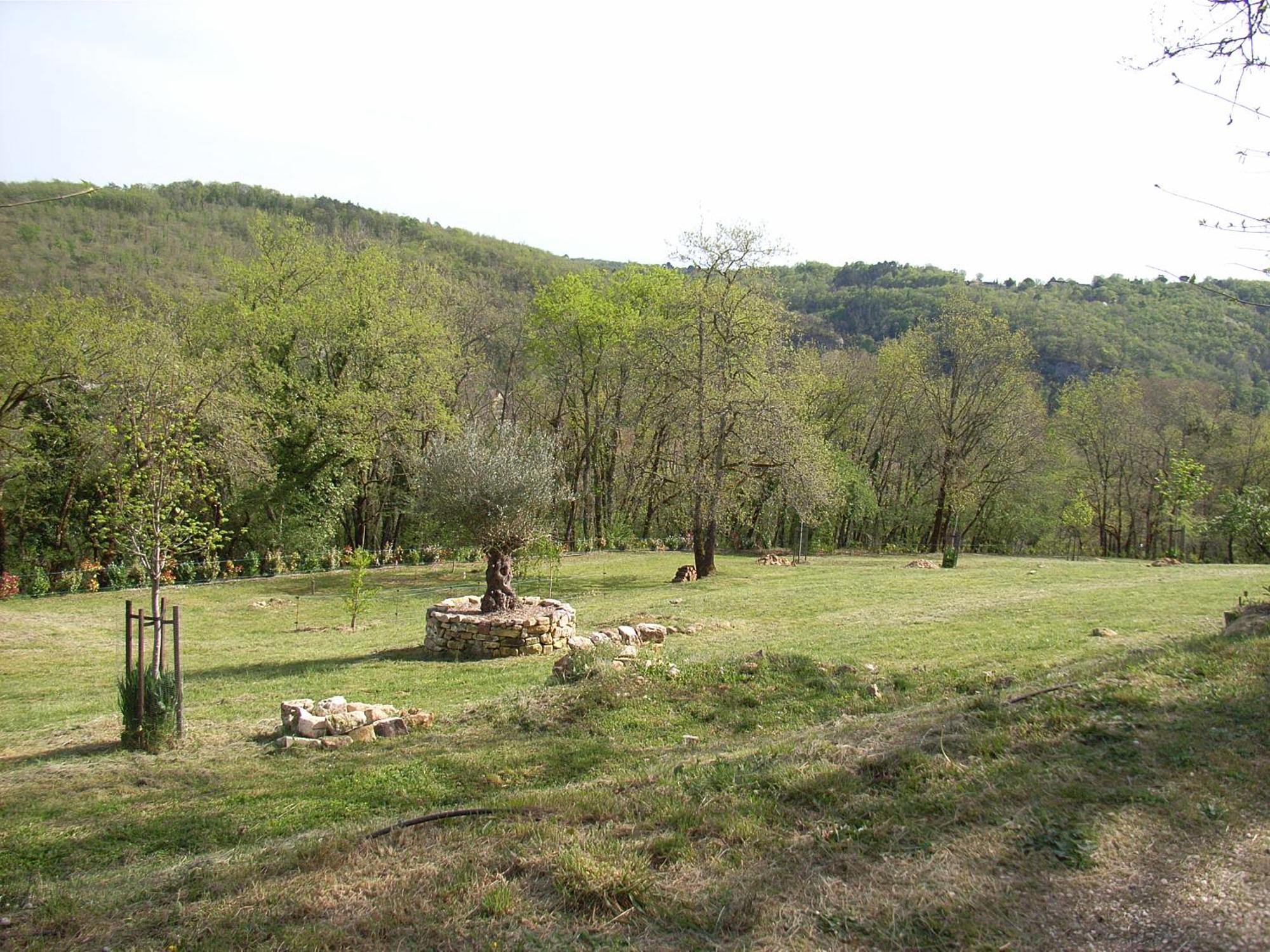 Studio Aux Eyzies Au Coeur De La Vallee De L'Homme Les Eyzies Dış mekan fotoğraf