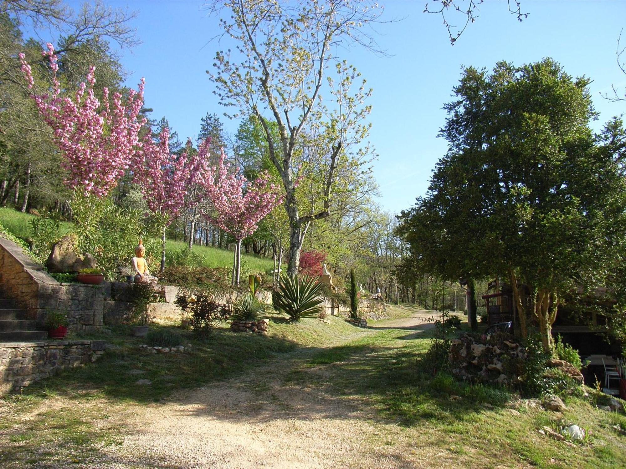 Studio Aux Eyzies Au Coeur De La Vallee De L'Homme Les Eyzies Dış mekan fotoğraf