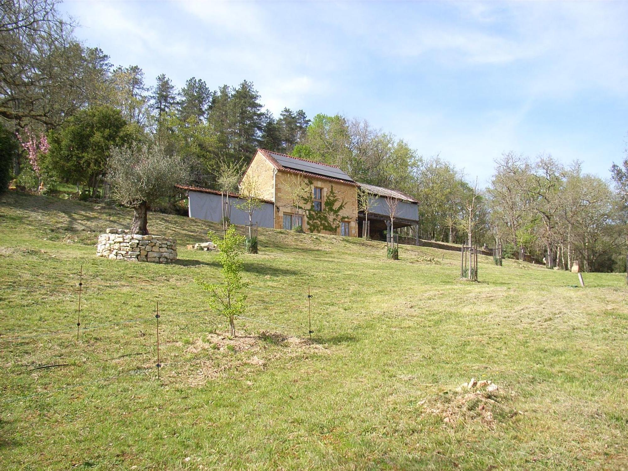 Studio Aux Eyzies Au Coeur De La Vallee De L'Homme Les Eyzies Dış mekan fotoğraf