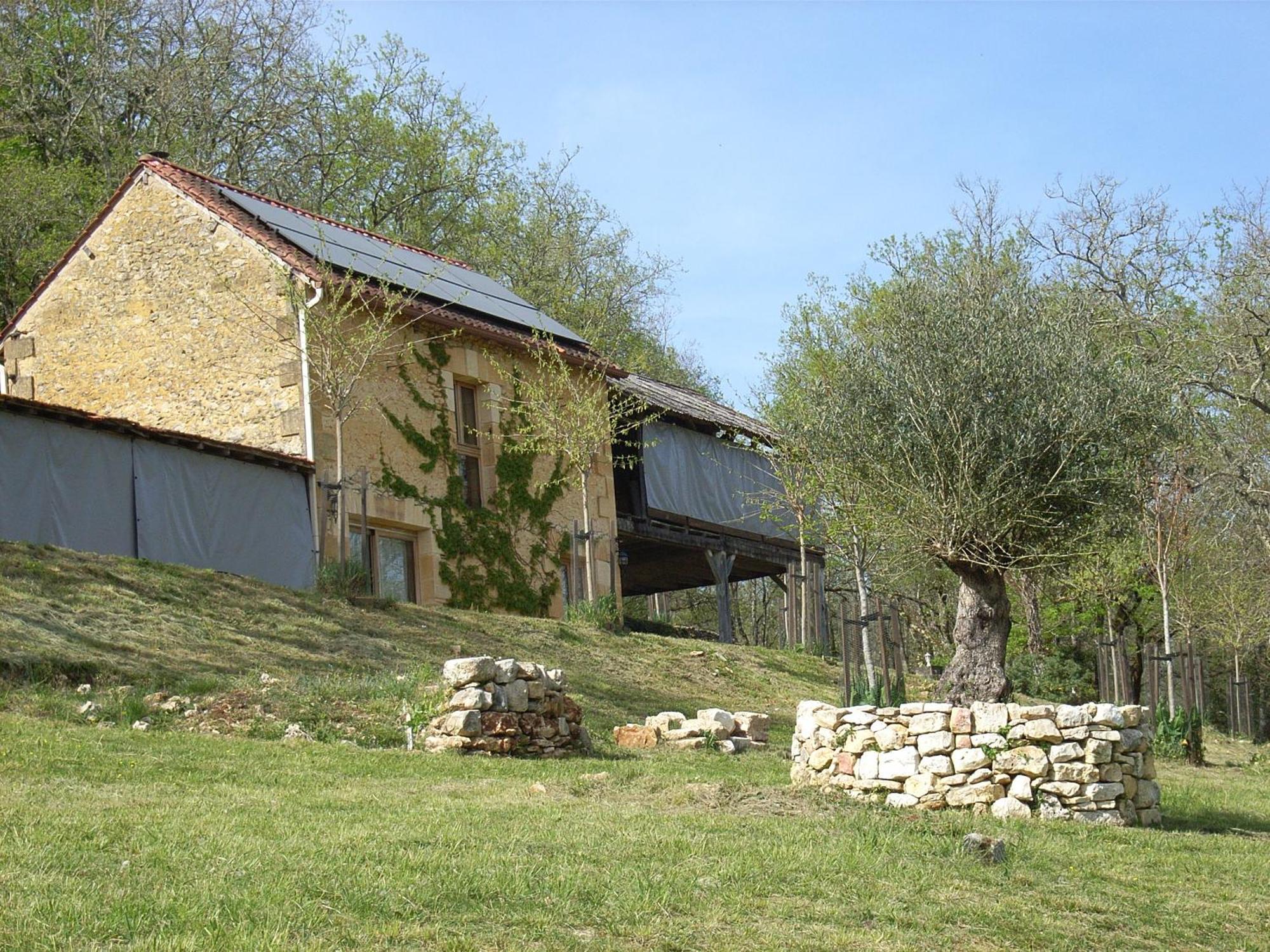 Studio Aux Eyzies Au Coeur De La Vallee De L'Homme Les Eyzies Dış mekan fotoğraf